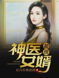 超级神医女婿,小说