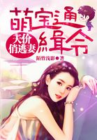 萌宝的天价俏逃妻乐彤