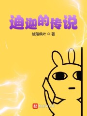 迪迦的传说小说