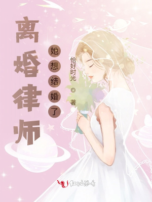 离婚律师结局什么意思