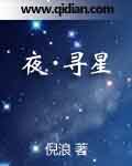 夜寻星颜小说