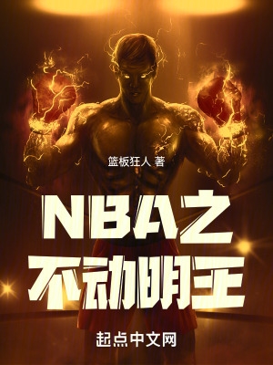 nba之不动明王txt