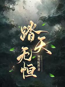 踏天无痕章节