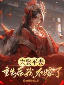 将军娶平妻夫人改嫁王爷的小说