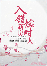 入错新房嫁对人三部曲