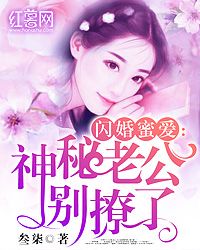 闪婚蜜爱神秘老公竟是亿万富翁